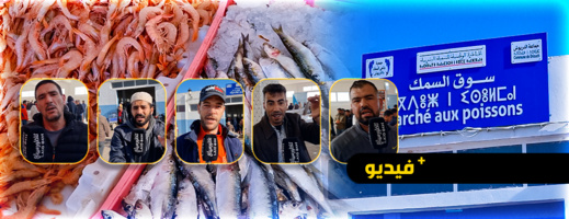 شاهدوا.. أسعار صاروخية في سوق السمك تحول دون تمكن الأسر من إعداد مائدة الإفطار  شاهدوا.. أسعار صاروخية في سوق السمك تحول دون تمكن الأسر من إعداد مائدة الإفطار