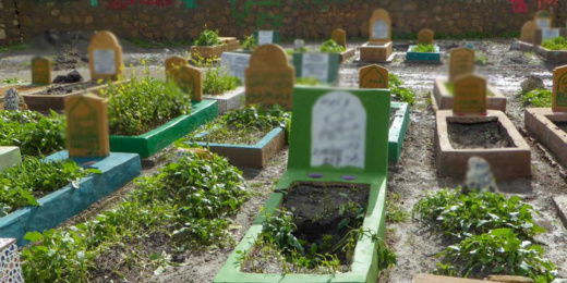 الحكومة تلغي معاينة حالات الوفاة من طرف أعوان السلطة الحكومة تلغي معاينة حالات الوفاة من طرف أعوان السلطة