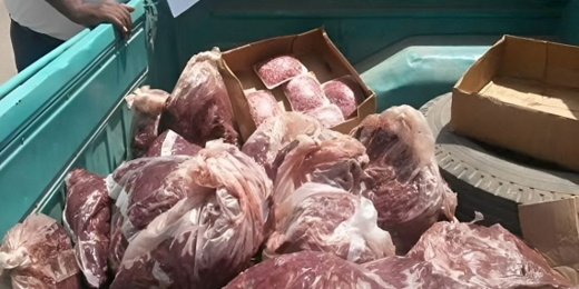 إعدام لحوم فاسدة كانت في طريقها إلى موائد المواطنين بالريف إعدام لحوم فاسدة كانت في طريقها إلى موائد المواطنين بالريف