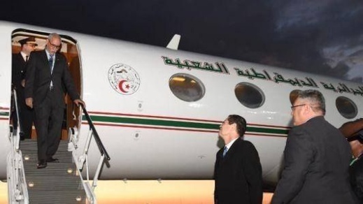 سلطات مالطا تمنع طائرة جزائرية من نقل نشطاء في "البوليساريو"