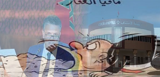 السطو على أراضي الغير بالناظور يجر وزير العدل مجددا للمساءلة