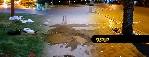 قلب مدينة سلوان.. أزبال وحفر وظلام وكلاب ضالة