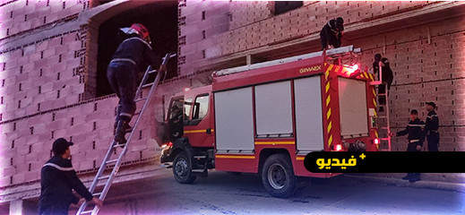 شاهدوا.. الوقاية المدنية تسخر عناصرها لإنقاذ قطة عالقة ببناية سكنية وسط الدريوش شاهدوا.. الوقاية المدنية تسخر عناصرها لإنقاذ قطة عالقة ببناية سكنية وسط الدريوش