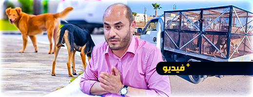 سليمان ازواع في دورة مئسسة التعاون بين الجماعات حول الكلاب الضالة
