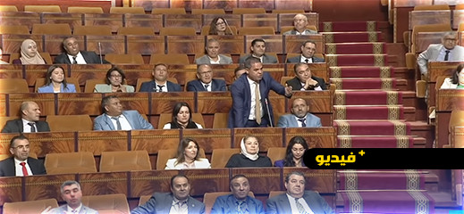 تشنشنشت وتهركلت وحربش.. مصطلحات جديدة مثيرة للهزل تدخل البرلمان تشنشنشت وتهركلت وحربش.. مصطلحات جديدة مثيرة للهزل تدخل البرلمان