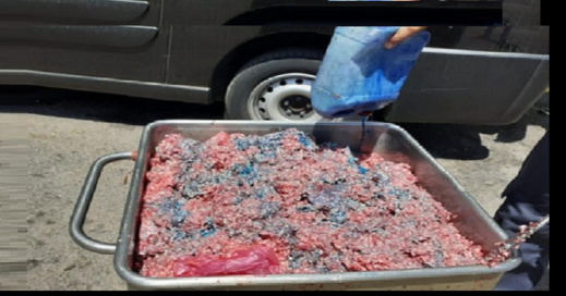 "كفتة" فاسدة تتسبب في إغلاق مطعم في ملكية عضو في بلدية "كفتة" فاسدة تتسبب في إغلاق مطعم في ملكية عضو في بلدية