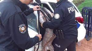 حاولن تهريب المخدرات في أحشائهن.. إيقاف 3 مغربيات بتركيا حاولن تهريب المخدرات في أحشائهن.. إيقاف 3 مغربيات بتركيا