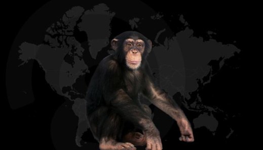 من تآمر على العالم؟.. روسيا تتهم أمريكا بنشر جدري القردة من تآمر على العالم؟.. روسيا تتهم أمريكا بنشر جدري القردة