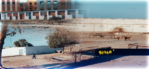 أونصا ترسم صورة قاتمة عن "مجزرة سلوان" بعد تحولها إلى مرفق موبوء يهدد سلامة المواطنين أونصا ترسم صورة قاتمة عن "مجزرة سلوان" بعد تحولها إلى مرفق موبوء يهدد سلامة المواطنين