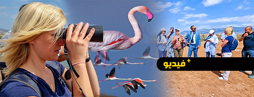 إنجاز مشروعين في محمية مارتشيكا لتشجيع الطيور المهاجرة على التكاثر إنجاز مشروعين في محمية مارتشيكا لتشجيع الطيور المهاجرة على التكاثر