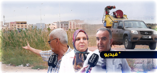 فيديو.. "الناموس" يهاجم سكان حي المطار بالناظور فيديو.. "الناموس" يهاجم سكان حي المطار بالناظور