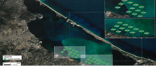 الناظوريون مدعوون للمشاركة.. طلب عروض لإنشاء مزارع للطحالب في بحيرة مارتشيكا