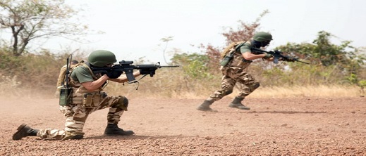 الأسد الأفريقي 22: تفاصيل أكبر المناورات العسكرية في القارة الأفريقية الأسد الأفريقي 22: تفاصيل أكبر المناورات العسكرية في القارة الأفريقية