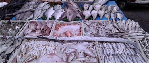 معايير صحية جديدة على دخول الأسماك المغربية إلى مليلية وتوضيح بشأن دخول الأضاحي