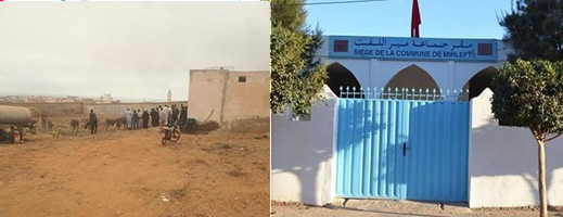 إقبال كبير من السماسرة على اقتناء حمير محجوزة إقبال كبير من السماسرة على اقتناء حمير محجوزة