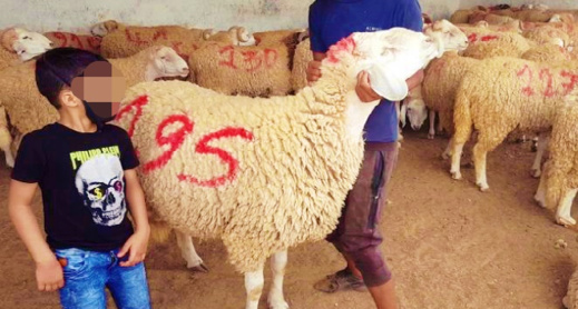 "ما معيدينش" حملة تغزو مواقع التواصل الإجتماعي بسبب غلاء الأسعار "ما معيدينش" حملة تغزو مواقع التواصل الإجتماعي بسبب غلاء الأسعار