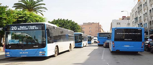 لفتيت: دراسة مشروع ربط مطار العروي بـ"الطوبيس" بلغت مراحلها النهائية لفتيت: دراسة مشروع ربط مطار العروي بـ"الطوبيس" بلغت مراحلها النهائية