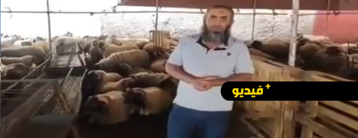  عضو بجماعة الناظور يثير الجدل على فايسبوك بسبب ثمن كبش العيد