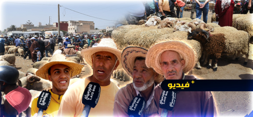 سوق الأضاحي بالناظور.. انخفاض طفيف في الأسعار وإقبال متواضع سوق الأضاحي بالناظور.. انخفاض طفيف في الأسعار وإقبال متواضع