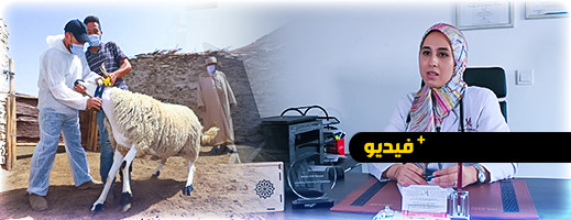 الدكتورة مريم إماون تقدم إرشادات تخص النظام الغذائي السليم لمرضى السكري في عيد الأضحى الدكتورة مريم إماون تقدم إرشادات تخص النظام الغذائي السليم لمرضى السكري في عيد الأضحى