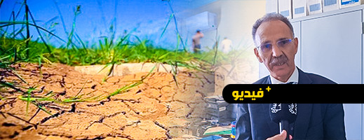 المدير الإقليمي للماء الصالح للشرب يحذر من تداعيات الجفاف ويوجه رسالة لساكنة إقليم الدريوش المدير الإقليمي للماء الصالح للشرب يحذر من تداعيات الجفاف ويوجه رسالة لساكنة إقليم الدريوش
