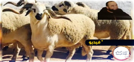 شاهدوا.. الزروالي يدعو لذبح الأضحية بدل التصدق بثمنها