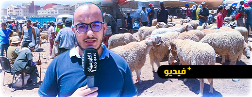 سوق سلوان.. غلاء الأضاحي والخضر والدواجن يحبط آمال الفقراء قبل العيد سوق سلوان.. غلاء الأضاحي والخضر والدواجن يحبط آمال الفقراء قبل العيد