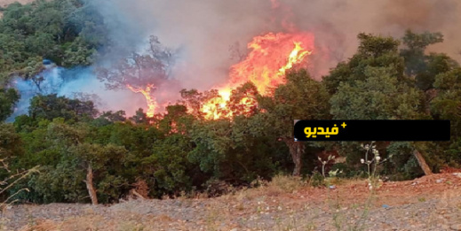 شاهدوا.. غابة كتامة تحترق