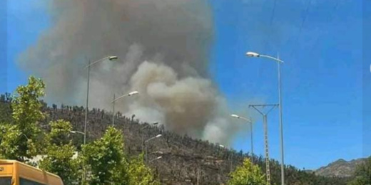 السلطات تتمكن من إخماد حريق مركز إكاون بكتامة بعد مصارعة النيران لساعات طويلة السلطات تتمكن من إخماد حريق مركز إكاون بكتامة بعد مصارعة النيران لساعات طويلة