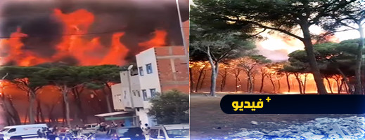 فيديو وصور مأساوية.. حرائق الشمال تمتد إلى مدن تطوان العرائش ووزان وحريق آخر بتازة