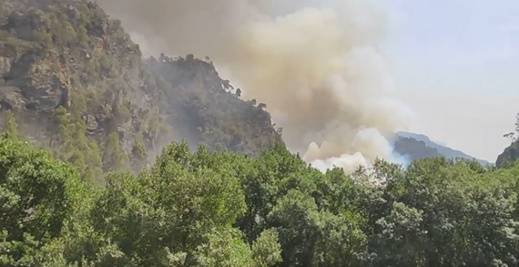 حريق جديد في جبال إقليم شفشاون يثير رعب الساكنة