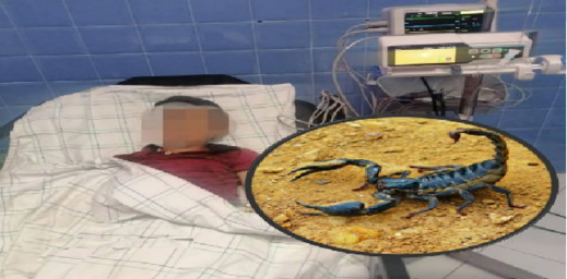 ارشيف ارشيف