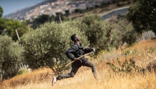 البرلمان الأوربي يعتزم إيفاد لجنة إلى المغرب بخصوص أحداث مليلية البرلمان الأوربي يعتزم إيفاد لجنة إلى المغرب بخصوص أحداث مليلية