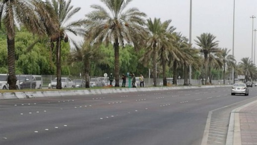 عريضة تطالب بتوقيف غرس النخيل بالمدن المغربية عريضة تطالب بتوقيف غرس النخيل بالمدن المغربية