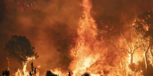 ملاحقة شخص بعد الحرائق الضخمة التي أتت على غابات الشمال ملاحقة شخص بعد الحرائق الضخمة التي أتت على غابات الشمال