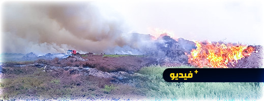 الرياح تعقد عملية محاصرة النيران في منطقة غابوية بقرية أركمان الرياح تعقد عملية محاصرة النيران في منطقة غابوية بقرية أركمان