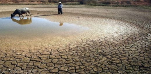 أوروبا تشهد أقسى جفاف منذ 500 سنة