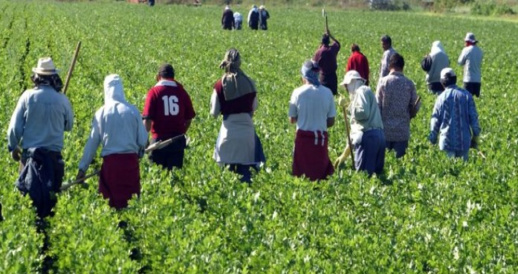 دولة اوروبية تستهدف استقطاب اليد العاملة المغربية دولة اوروبية تستهدف استقطاب اليد العاملة المغربية