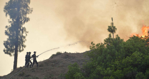 حريق المضيق: وفاة ثلاثة أفراد من الوقاية المدنية وإصابة آخرين بجروح حريق المضيق: وفاة ثلاثة أفراد من الوقاية المدنية وإصابة آخرين بجروح