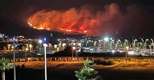 الأمن يعتقل أربعة أشخاص يشتبه تورطهم في إضرام النار عمدا بغابة "كدية الطيفور"
