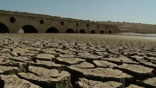بسبب الجفاف.. 20 بلدية في بلجيكا تقيد استهلاك المياه بسبب الجفاف.. 20 بلدية في بلجيكا تقيد استهلاك المياه