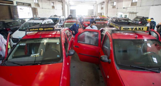 الحكومة تستعد لمنح الدفعة الخامسة من الدعم لمهنيي النقل الطرقي الحكومة تستعد لمنح الدفعة الخامسة من الدعم لمهنيي النقل الطرقي