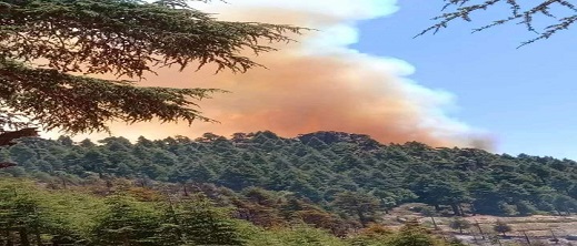 حريق جديد يندلع في غابات الحسيمة وسط مخاوف من فقدان السيطرة عليه حريق جديد يندلع في غابات الحسيمة وسط مخاوف من فقدان السيطرة عليه