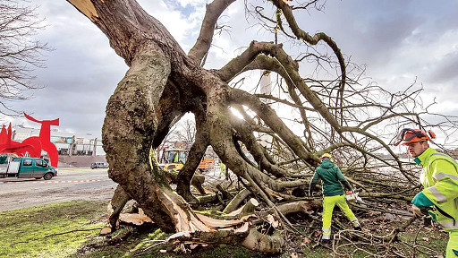 من بين الضحايا أطفال.. عواصف إيطاليا وفرنسا والنمسا تفتك بالعديد من البشر من بين الضحايا أطفال.. عواصف إيطاليا وفرنسا والنمسا تفتك بالعديد من البشر