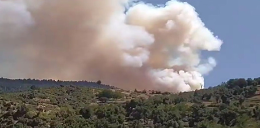 لليوم الرابع على التوالي.. النيران في كتامة تمتد إلى غابات الأرز لليوم الرابع على التوالي.. النيران في كتامة تمتد إلى غابات الأرز