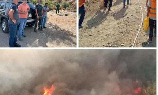 هذه تفاصيل حريق غابة دكانة الدشر بتاونات هذه تفاصيل حريق غابة دكانة الدشر بتاونات