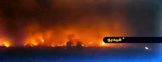 شاهدوا.. ألسنة اللهب تواصل التهام الغطاء النباتي بأركمان.. وجهود كبيرة لتطويق الحريق شاهدوا.. ألسنة اللهب تواصل التهام الغطاء النباتي بأركمان.. وجهود كبيرة لتطويق الحريق