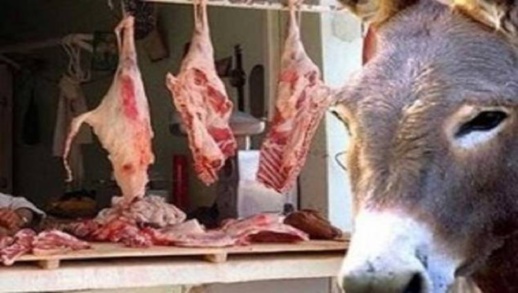 الأمن الجزائري يوقف شبكة تبيع لحوم الحمير والبغال الأمن الجزائري يوقف شبكة تبيع لحوم الحمير والبغال