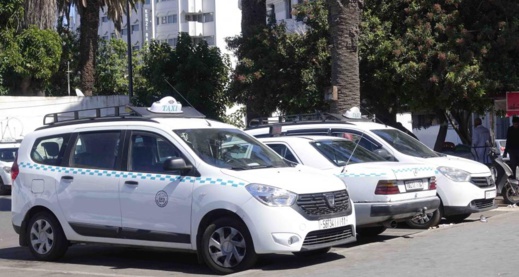 الحكومة تصرف دعما ماليا إضافيا لمهنيي النقل خلال شتنبر الجاري