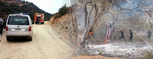 الدريوش.. حريق بجماعة امهاجر يستنفر السلطات المحلية والأمنية وعناصر الوقاية المدنية والمياه والغابات الدريوش.. حريق بجماعة امهاجر يستنفر السلطات المحلية والأمنية وعناصر الوقاية المدنية والمياه والغابات